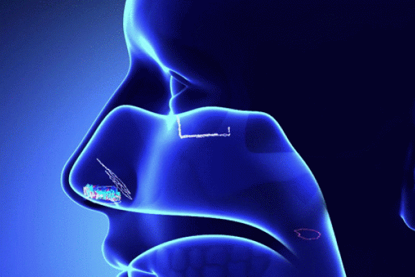animation showing particles following the path of how we smell